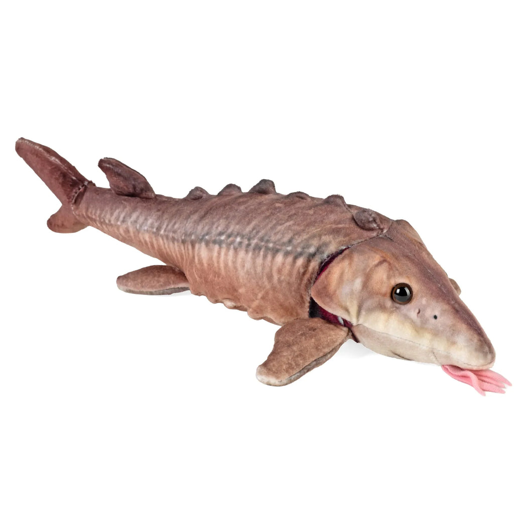 Sturgeon Stuffed Animal - 12