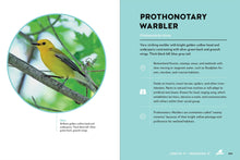 Birds of the Great Lakes