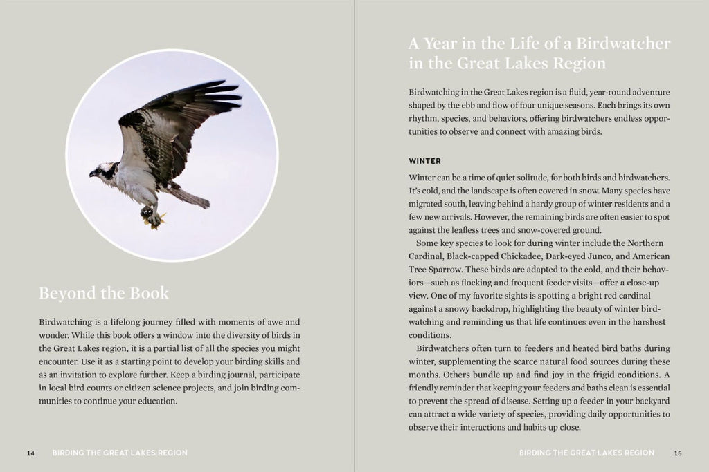 Birds of the Great Lakes – National Museum of the Great Lakes