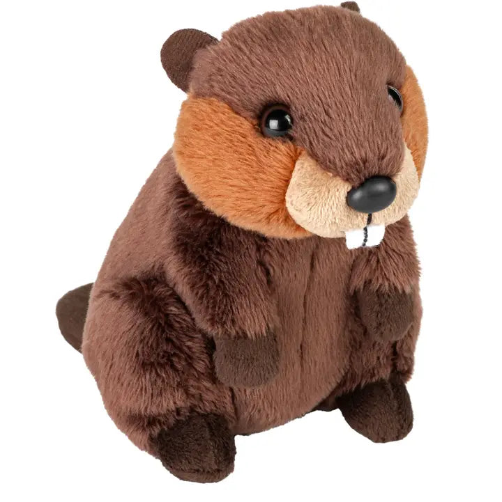 Beaver Pocketkins